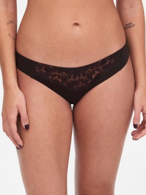 Chantelle Bold Curve Bikini Panties Brown Multi | USA 1829SOB