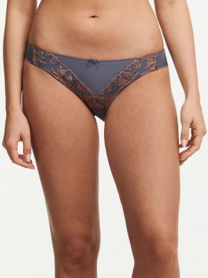 Chantelle Champs Elysees Bikini Panties Slate Grey | USA 2471APH