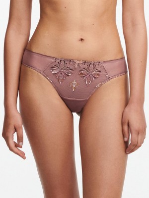 Chantelle Champs Elysées Lace Thong Panties Henne Multico | USA 2475UTZ