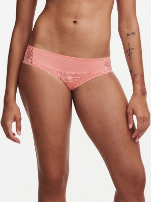 Chantelle Day to Night Bikini Panties Candlelight Peach | USA 2436ZGU