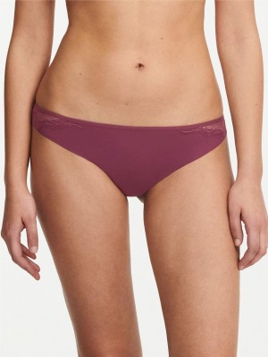 Chantelle Georgia Thong, Passionata designed by CL Panties Tannin | USA 1655ZGY