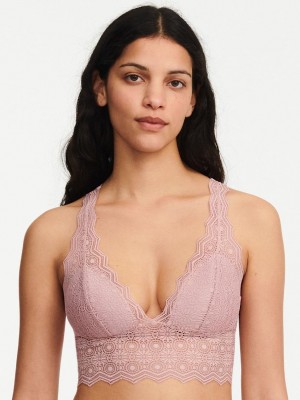 Chantelle Georgialette, Passionata designed by CL Bras English Rose | USA 1014EXG