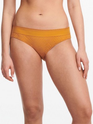 Chantelle Graphic Allure Lace Bikini Panties Ocre | USA 1849YUK