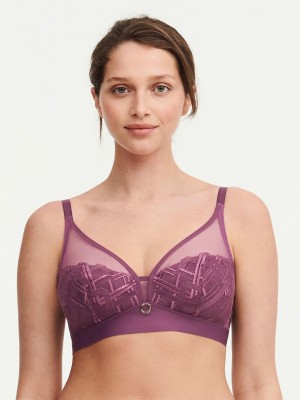 Chantelle Graphic Support Lace Wireless Bras Tannin | USA 1455WYF