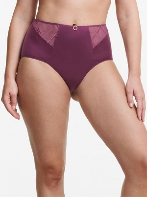 Chantelle Graphic Support Smoothing Full Brief Panties Tannin | USA 2441GLS