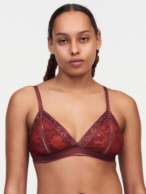 Chantelle Olivia Wireless, Passionata designed by CL Bras Fig/Bright Poppy | USA 2137ISZ