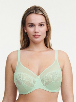 Chantelle Orangerie Dream Full Coverage Underwire Bras Green Lily | USA 2249HKW