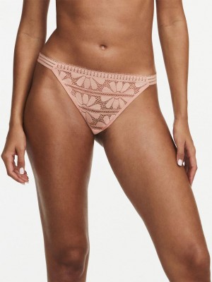 Chantelle Sofie Lace Thong, Passionata designed by CL Panties Tropical Pink | USA 2398YUX