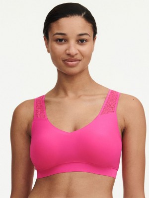 Chantelle SoftStretch Padded Top with Lace Bras Rose Pitaya | USA 1011MAS