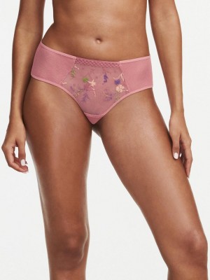 Chantelle Suzy Lace Hipster, Passionata designed by CL Panties Rosewood Multico | USA 1637WYF