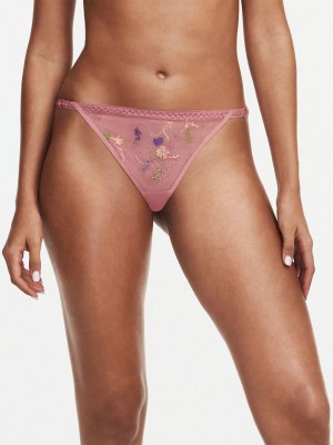 Chantelle Suzy Lace Thong, Passionata designed by CL Panties Rosewood Multico | USA 1659BCP