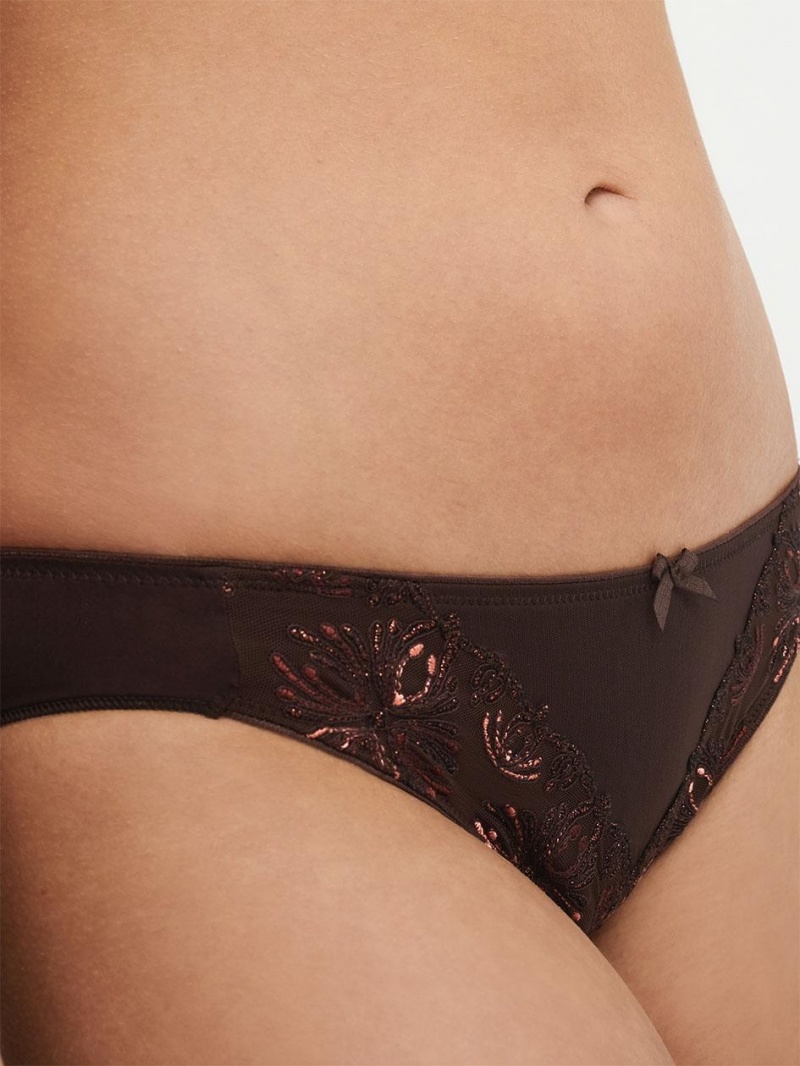 Chantelle Champs Elysees Bikini Panties Glossy Brown | USA 2524PQJ