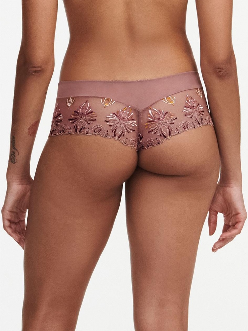 Chantelle Champs Elysées Lace Hipster Panties Henne Multico | USA 2040GLQ