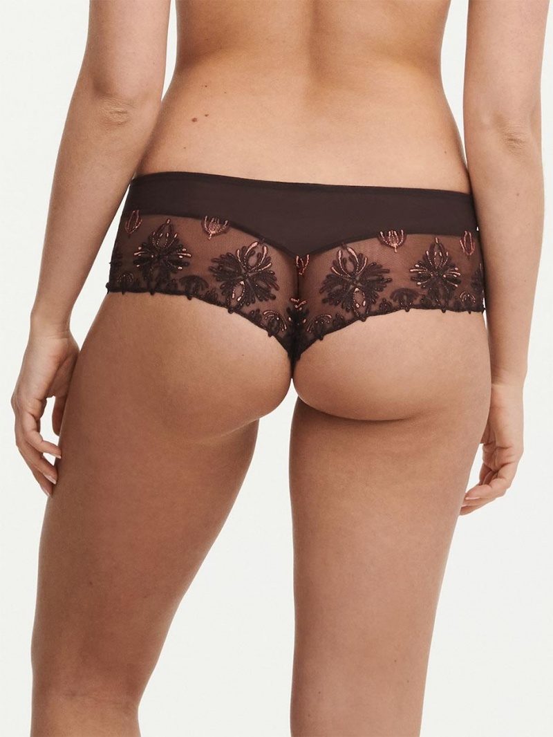 Chantelle Champs Elysées Lace Hipster Panties Glossy Brown | USA 2043KIR