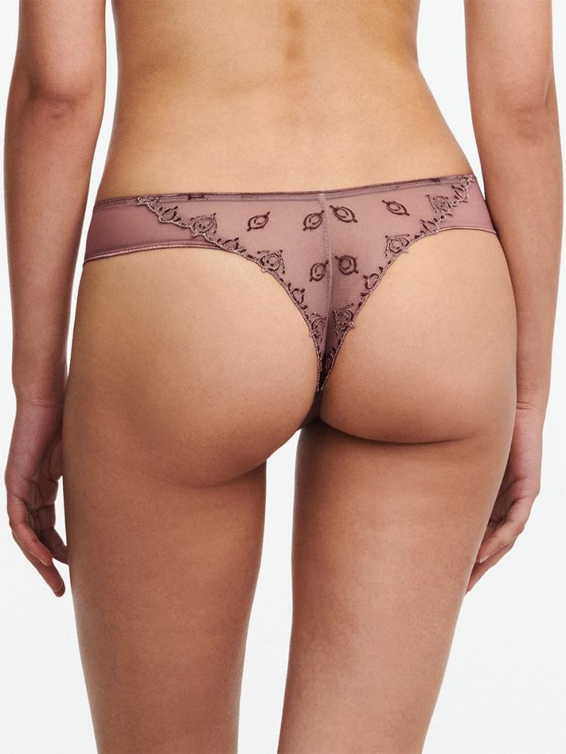 Chantelle Champs Elysées Lace Thong Panties Henne Multico | USA 2042JJE