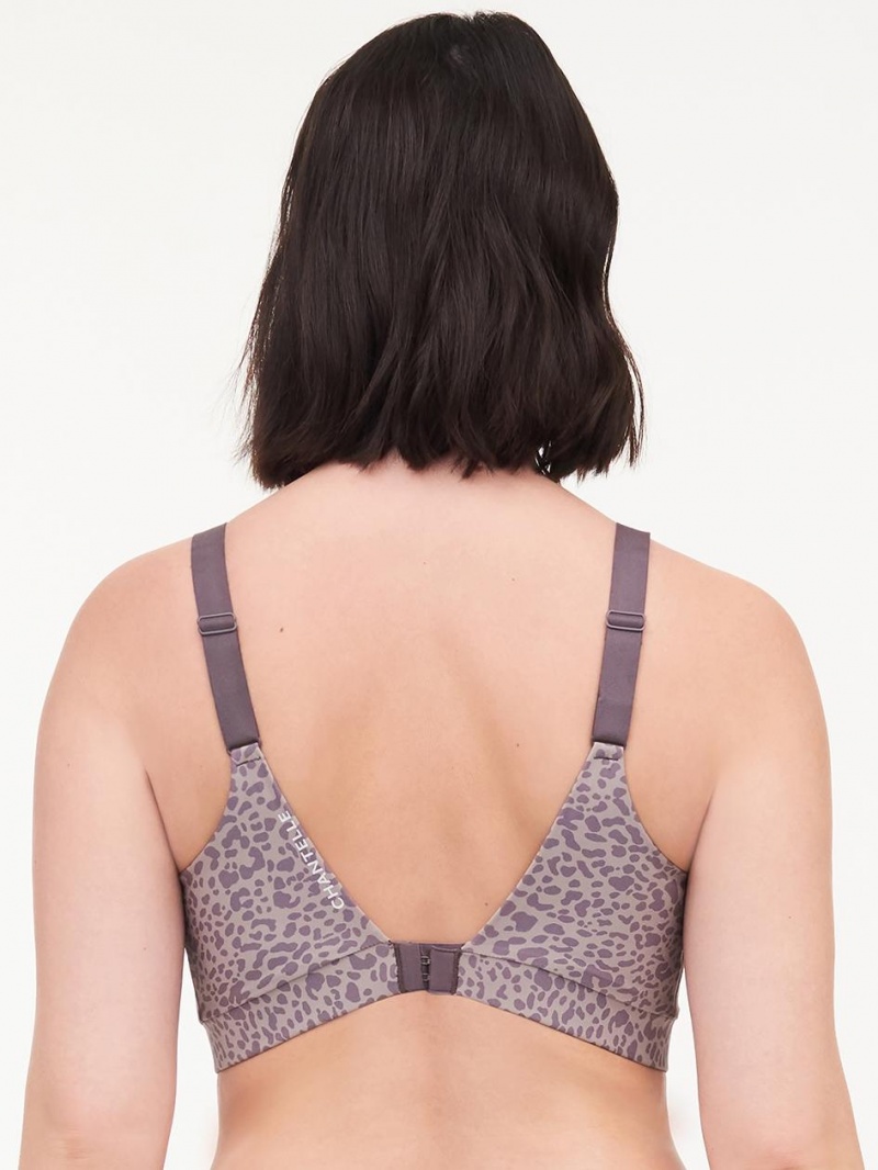 Chantelle Everyday Sport Eco Comfort Low Impact Bras Taupe Leopard | USA 1195WYF