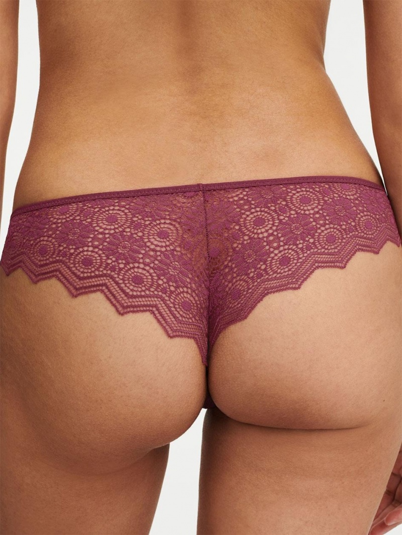 Chantelle Georgia Thong, Passionata designed by CL Panties Tannin | USA 1655ZGY