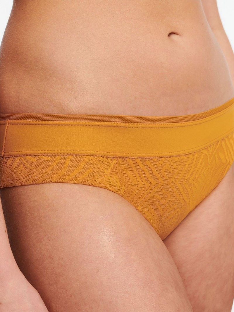 Chantelle Graphic Allure Lace Bikini Panties Ocre | USA 1849YUK