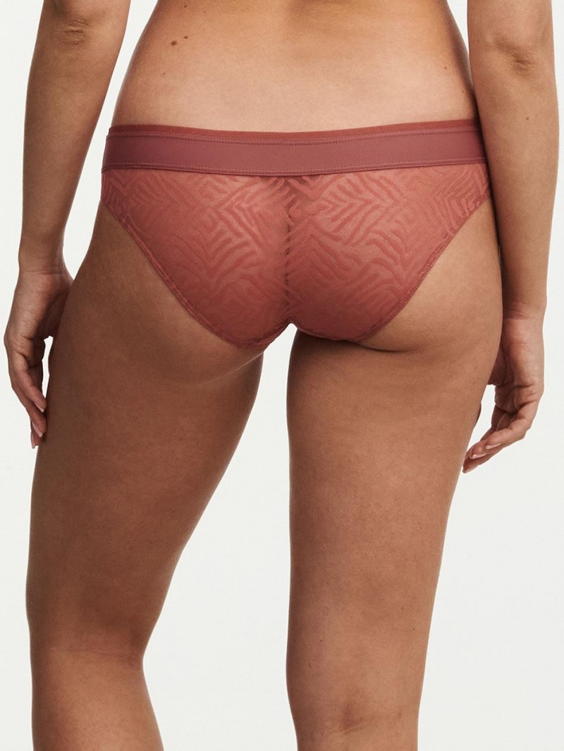 Chantelle Graphic Allure Lace Bikini Panties Amber | USA 1870QZD