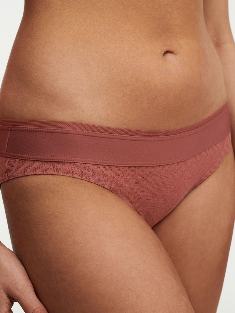 Chantelle Graphic Allure Lace Bikini Panties Amber | USA 1870QZD