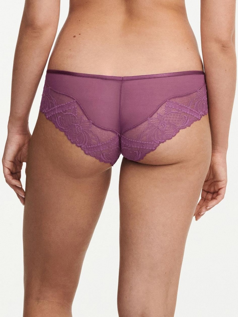 Chantelle Orangerie Dream Hipster Panties Tannin | USA 2392SOG