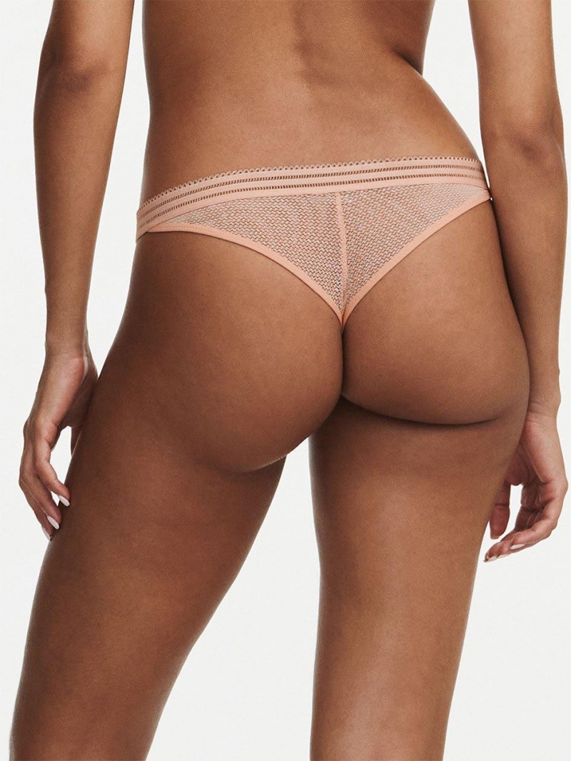 Chantelle Sofie Lace Thong, Passionata designed by CL Panties Tropical Pink | USA 2398YUX