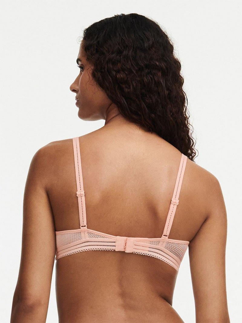 Chantelle Sofie Lace Underwire,Passionata designed by CL Bras Tropical Pink | USA 2167SOB