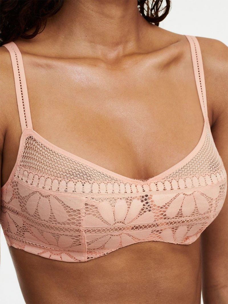 Chantelle Sofie Lace Underwire,Passionata designed by CL Bras Tropical Pink | USA 2167SOB