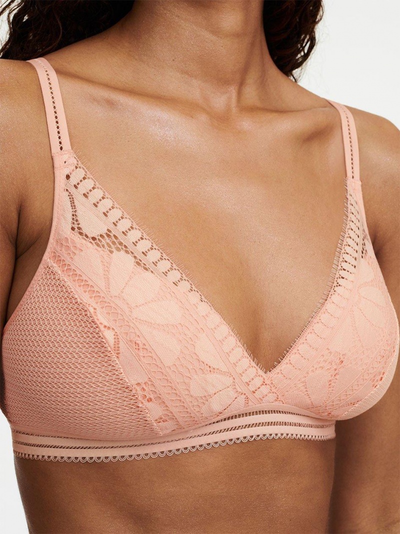 Chantelle Sofie Lacelette, Passionata designed by CL Bras Tropical Pink | USA 2170GLQ