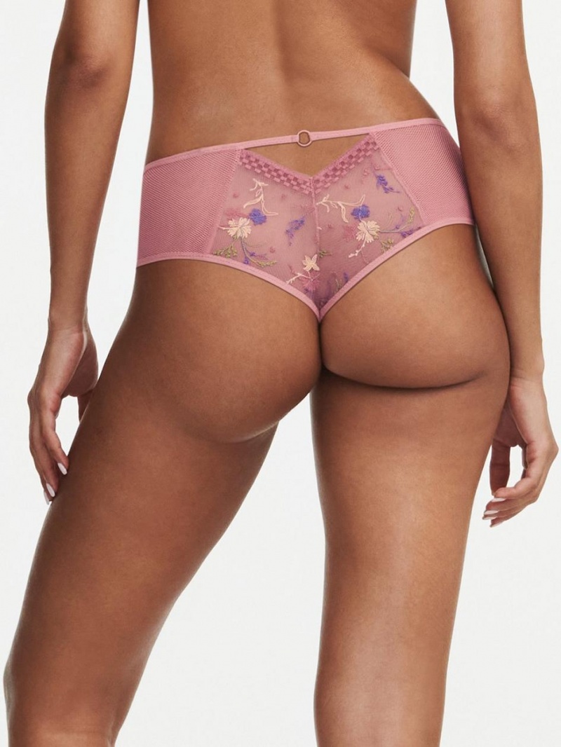 Chantelle Suzy Lace Hipster, Passionata designed by CL Panties Rosewood Multico | USA 2354BCE