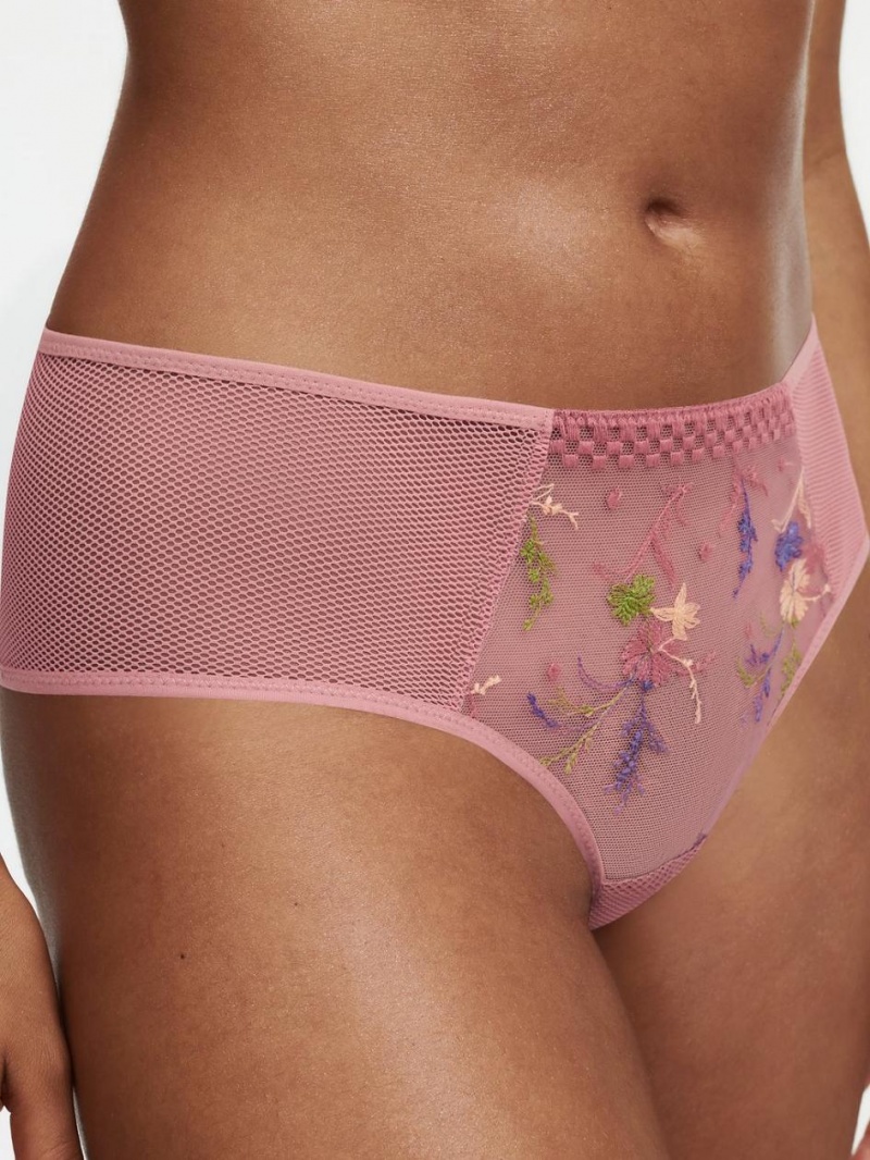 Chantelle Suzy Lace Hipster, Passionata designed by CL Panties Rosewood Multico | USA 2354BCE