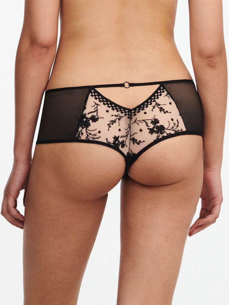 Chantelle Suzy Lace Hipster, Passionata designed by CL Panties Nude Blush/Black | USA 2394PQJ