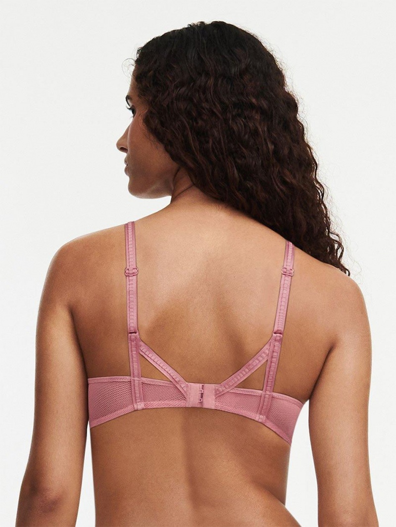 Chantelle Suzy Lace Underwire, Passionata designed by CL Bras Rosewood Multico | USA 1086VDO